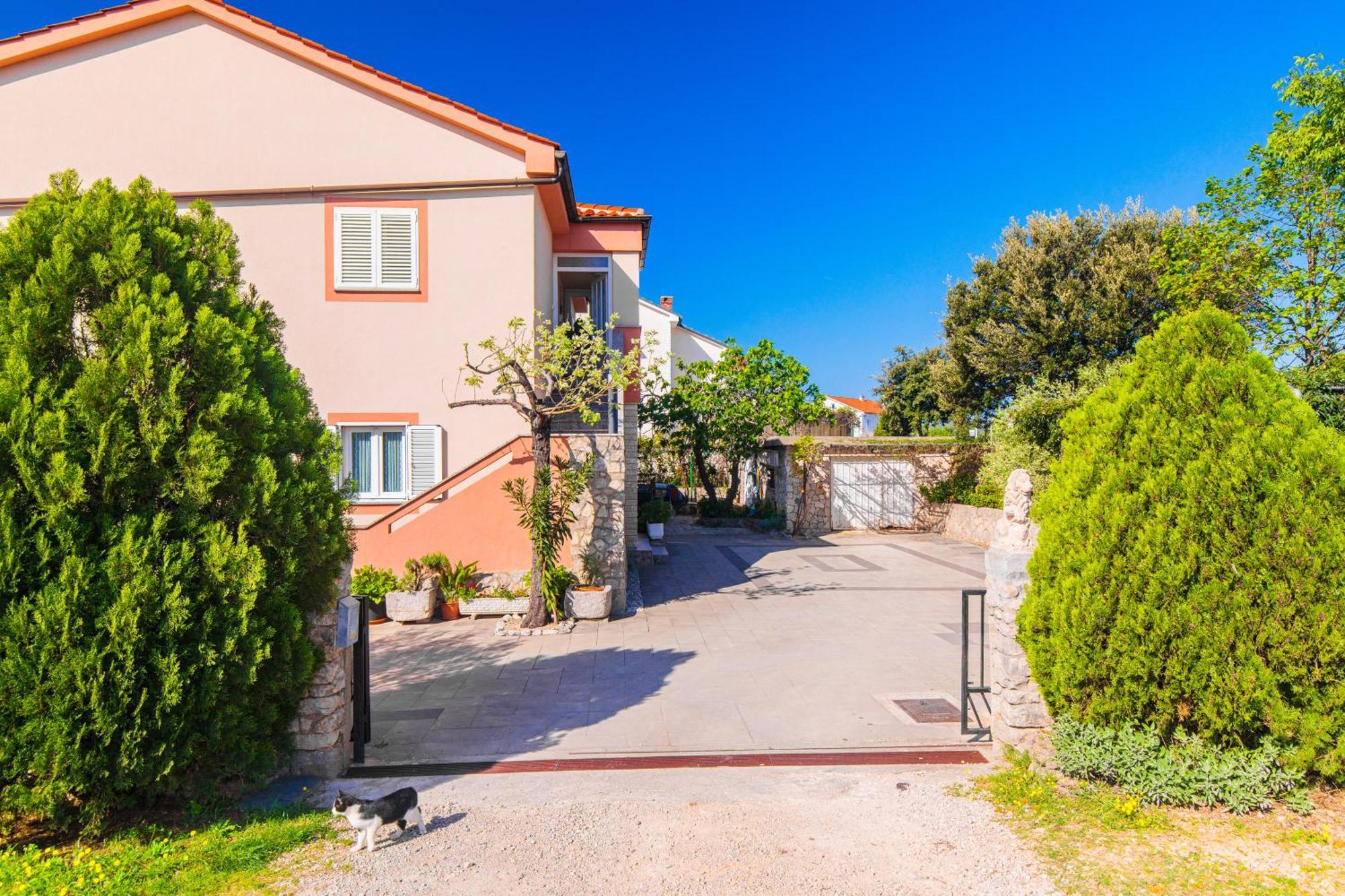 Apartment Todor *